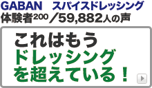 GABAN スパイスドレッシング