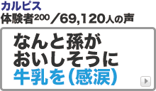 ミルクカルピス 体験者の声